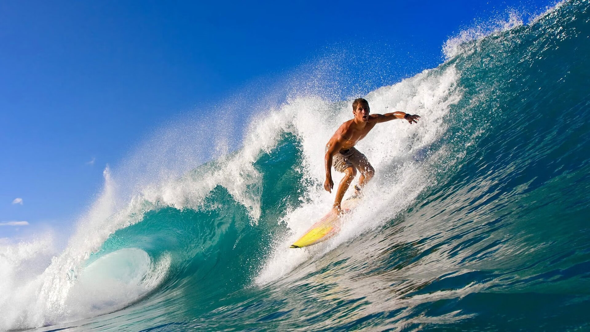 亚冠联赛中国足球战平 球迷热情高涨，亚冠中国球队战绩