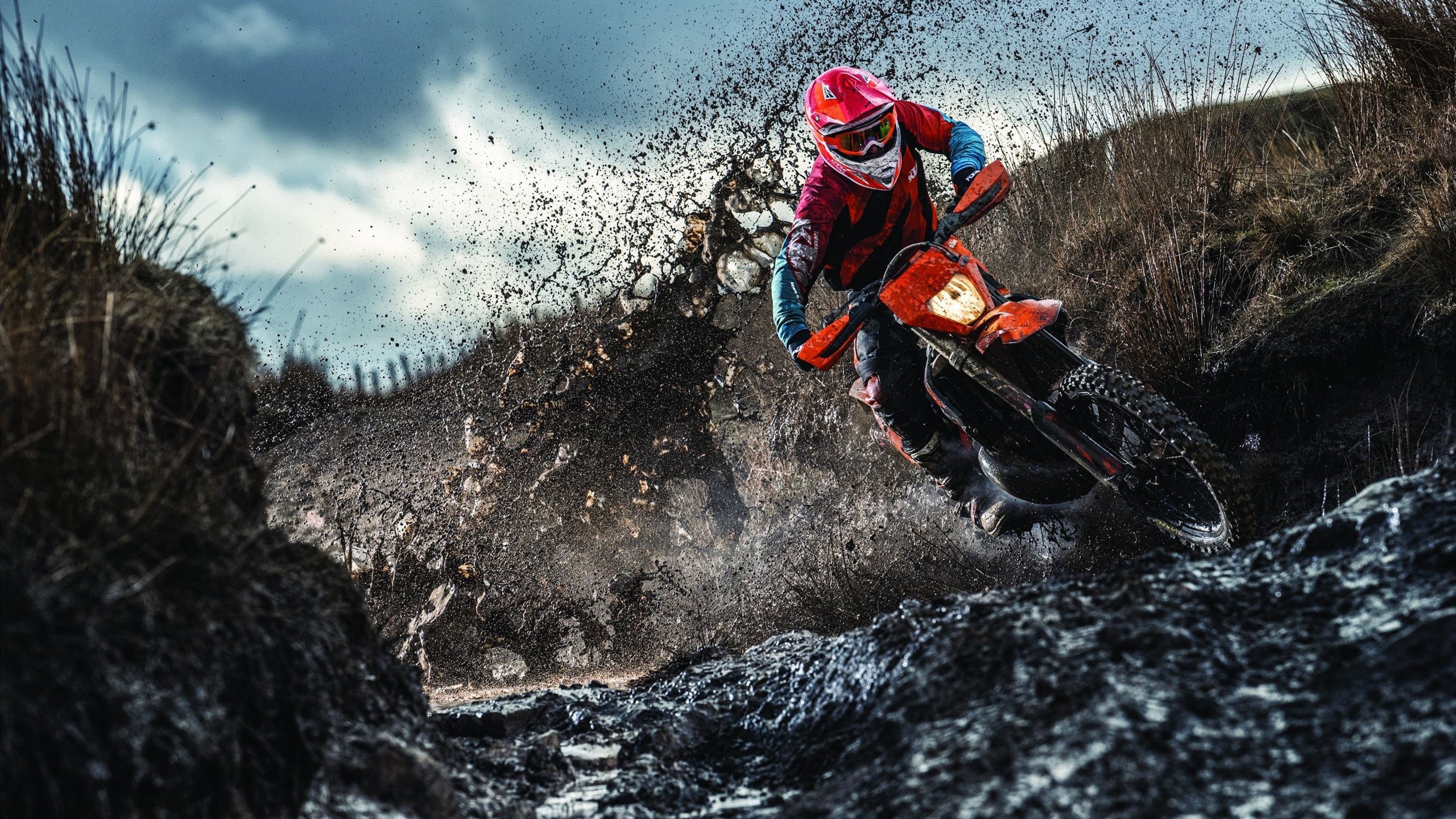 体育赛事数字化运营模式，体育赛事运营包括哪些方面