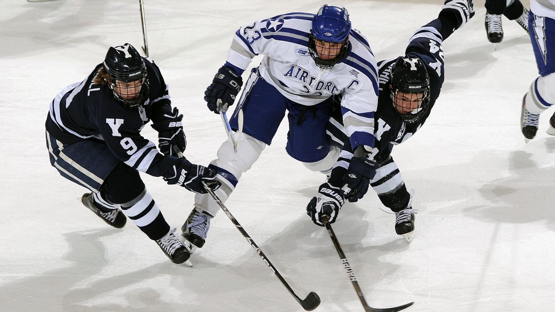 校园体育文化对学生创新能力的促进机制，校园体育文化对大学生体育精神的培养